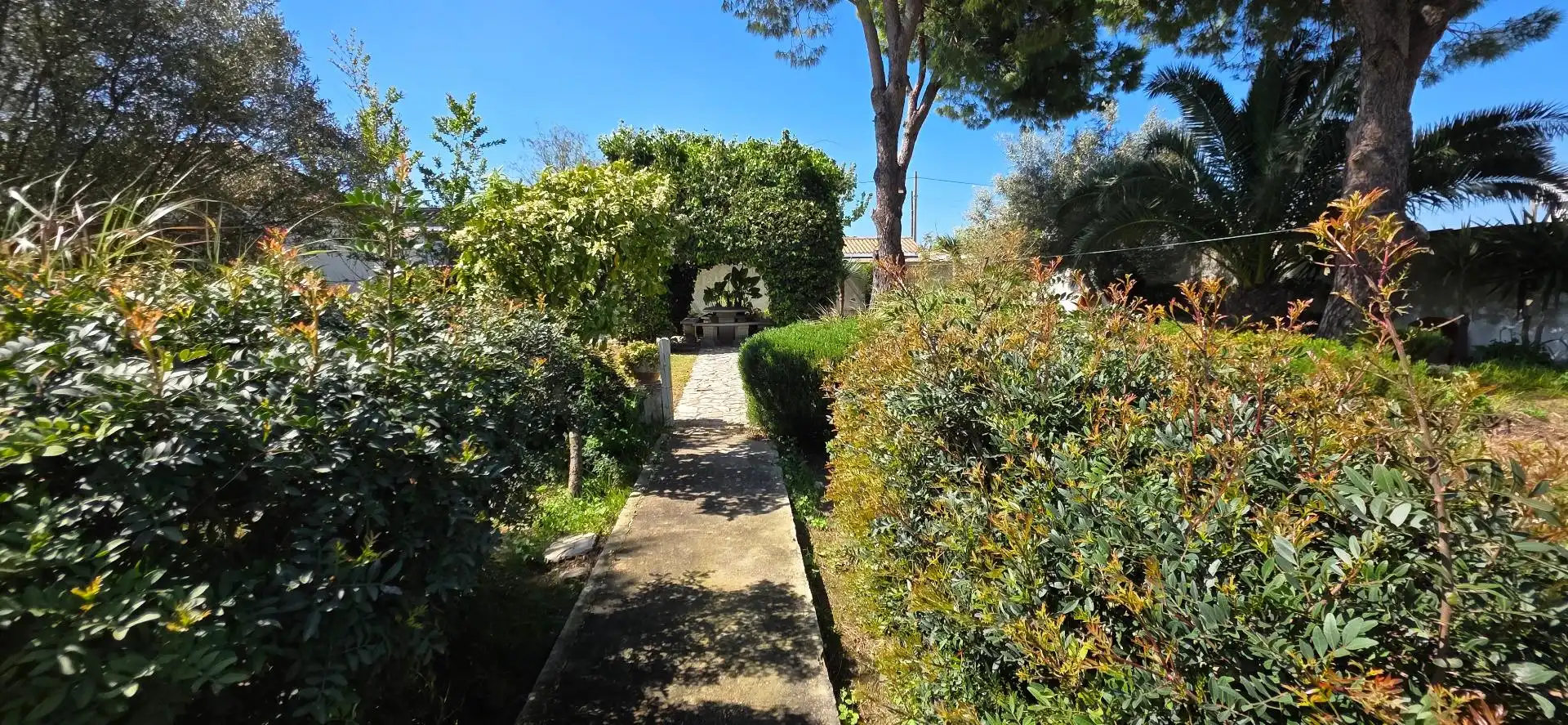 Jardín de Casa o chalet en venta en Chiclana de la Frontera