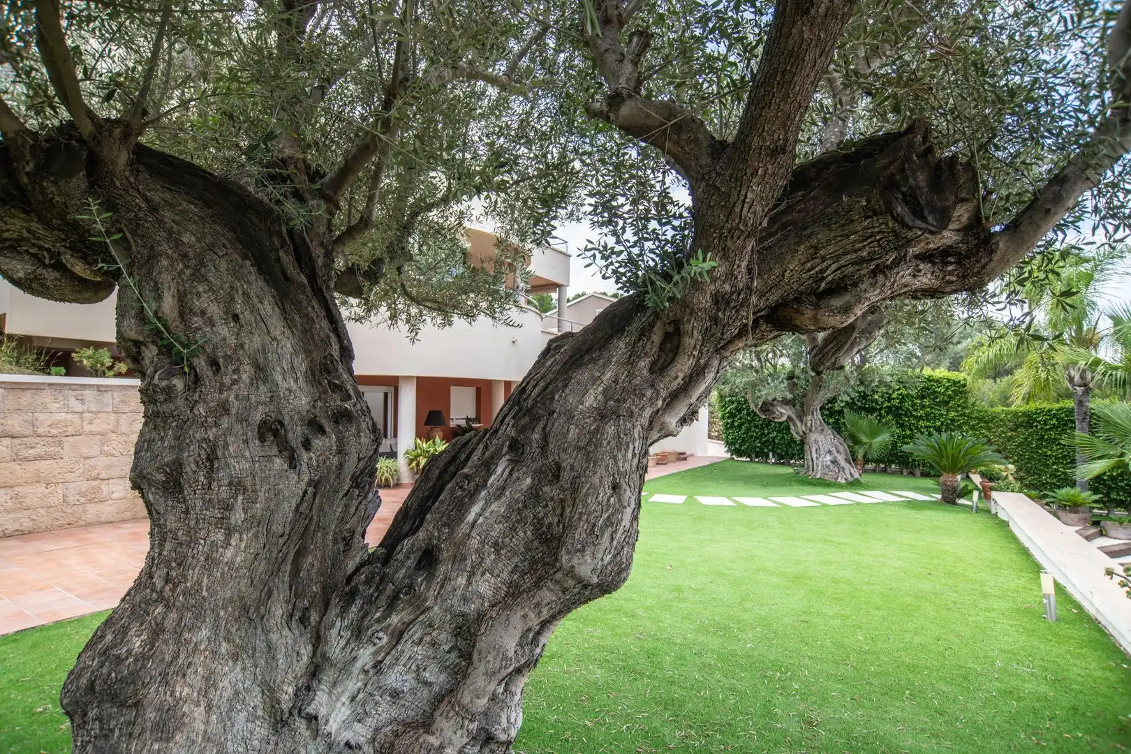 Jardín de Casa o chalet en venta en Molina de Segura con Calefacción, Jardín privado y Parquet