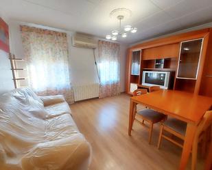 Living room of Flat to rent in Esplugues de Llobregat