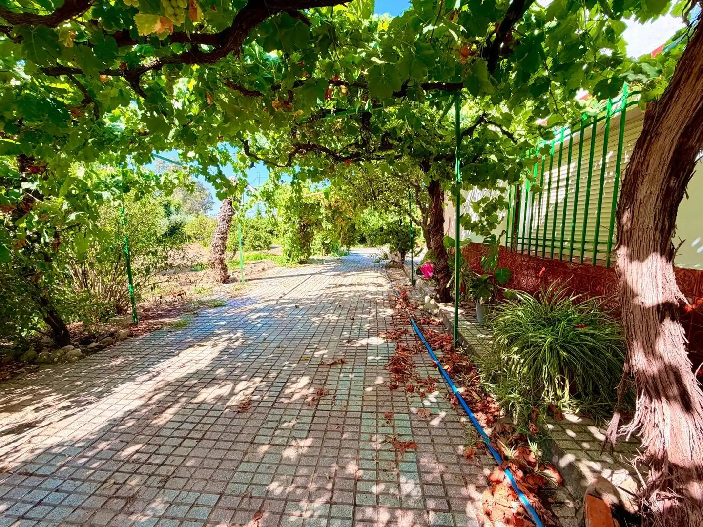 Vista exterior de Casa o chalet en venta en Valverde de Mérida con Jardín privado, Terraza y Trastero