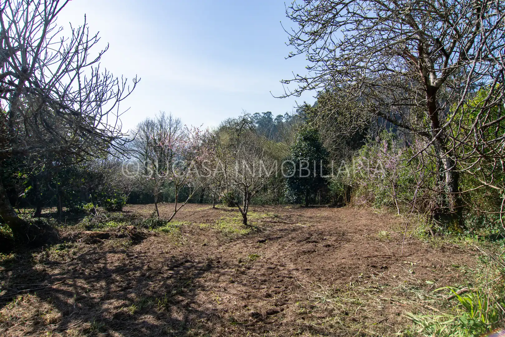 Casa amb jardí en venda a Lugar Outeiro, imagen 4