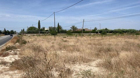Foto 4 de Residencial en venta en Partida Maitino, Perleta - Maitino, Elche / Elx