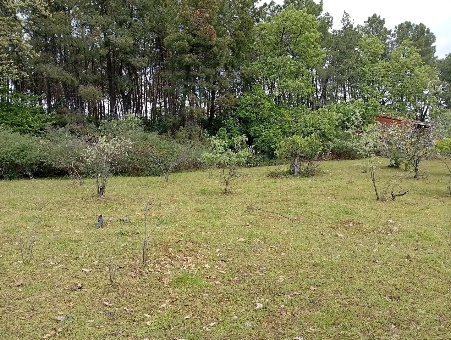 Terreni e lotti in vendita a Villanueva de la Vera, imagen 40