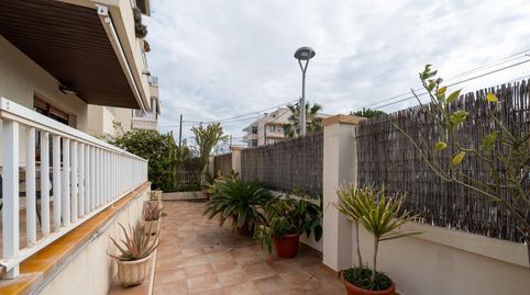 Foto 2 de Planta baja en venta en Les Maravelles, Palma de Mallorca
