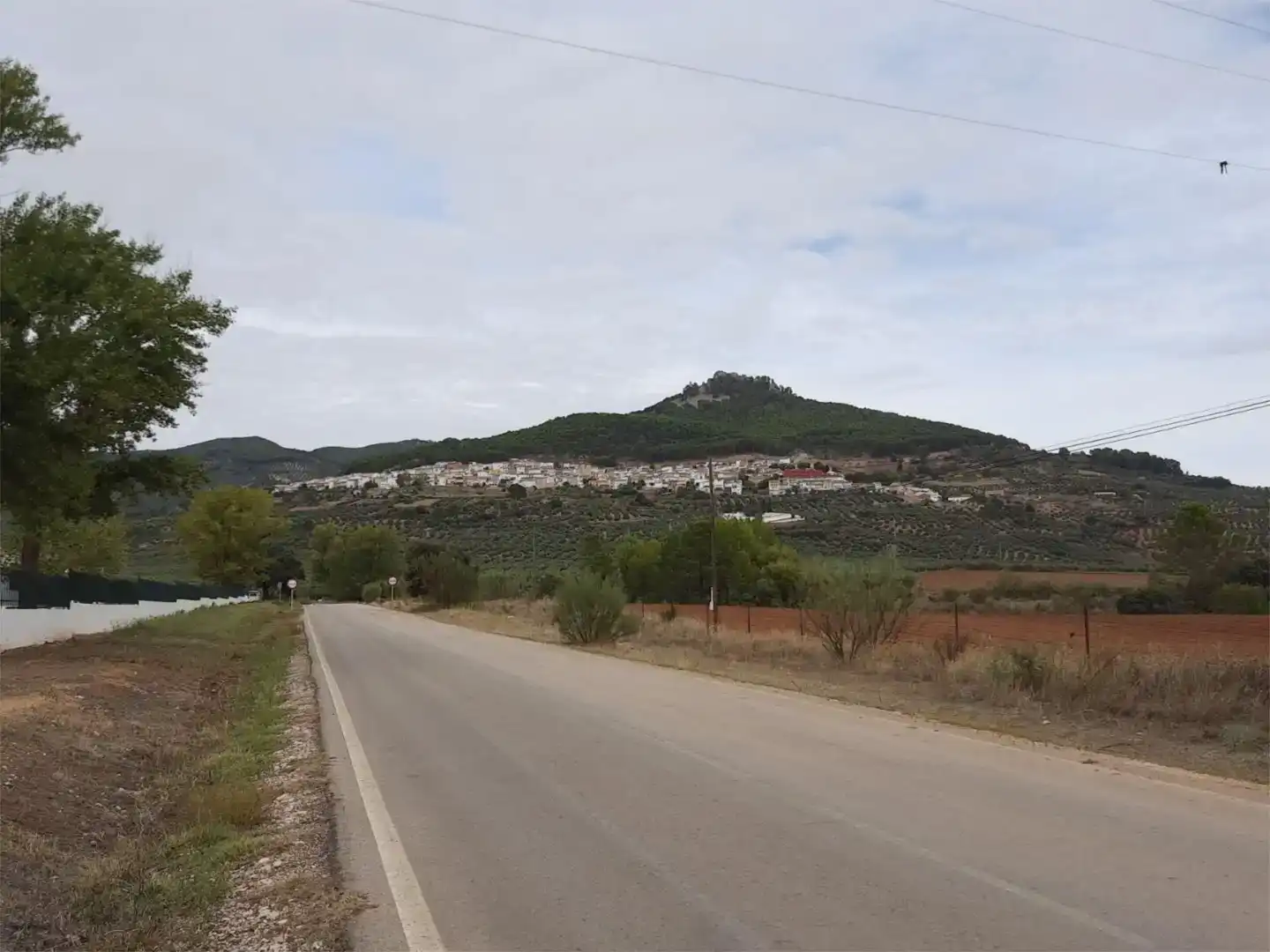Vista exterior de Casa adosada en venta en Torres de Albánchez