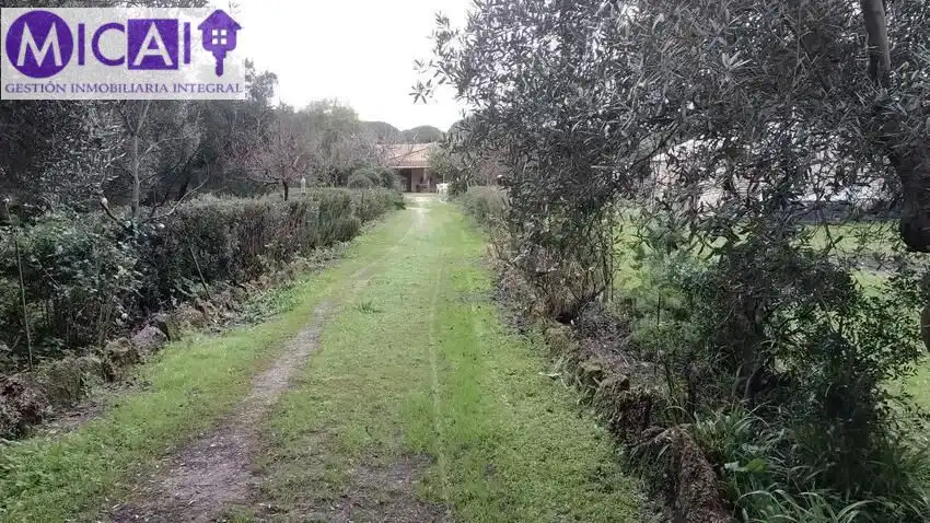 Casa o xalet en venda en Puerto Real amb Aire condicionat, Jardí privat i Terrassa