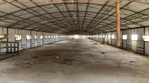 Photo 4 of Industrial buildings for sale in Pinarejo, Aldea de San Miguel, Valladolid