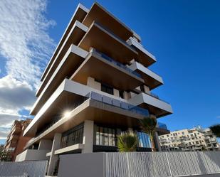 Vista exterior de Àtic en venda en Alicante / Alacant amb Aire condicionat, Calefacció i Jardí privat