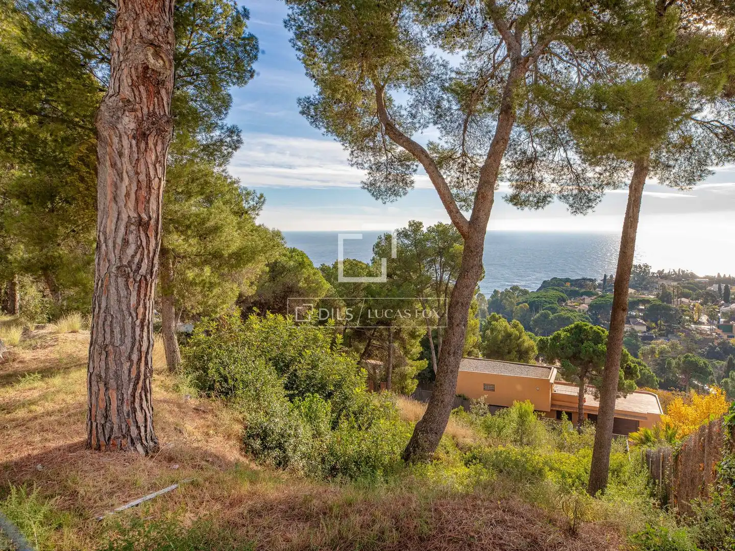 Terreno rustico in vendita a Santa Cristina - Sant Francesc, imagen 3