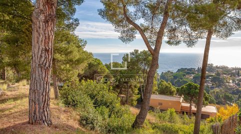 Parcela en excelentes condiciones en venta en Blanes, Costa Brava, imatge 3
