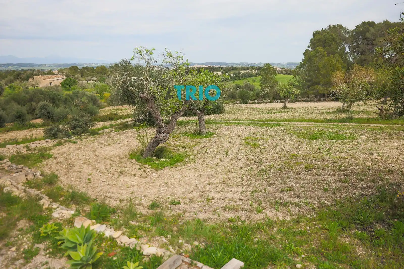 Casa o xalet en venda en Montuïri amb Calefacció