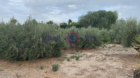 Foto 5 de Casa o chalet en venta en Cazalla, Murcia