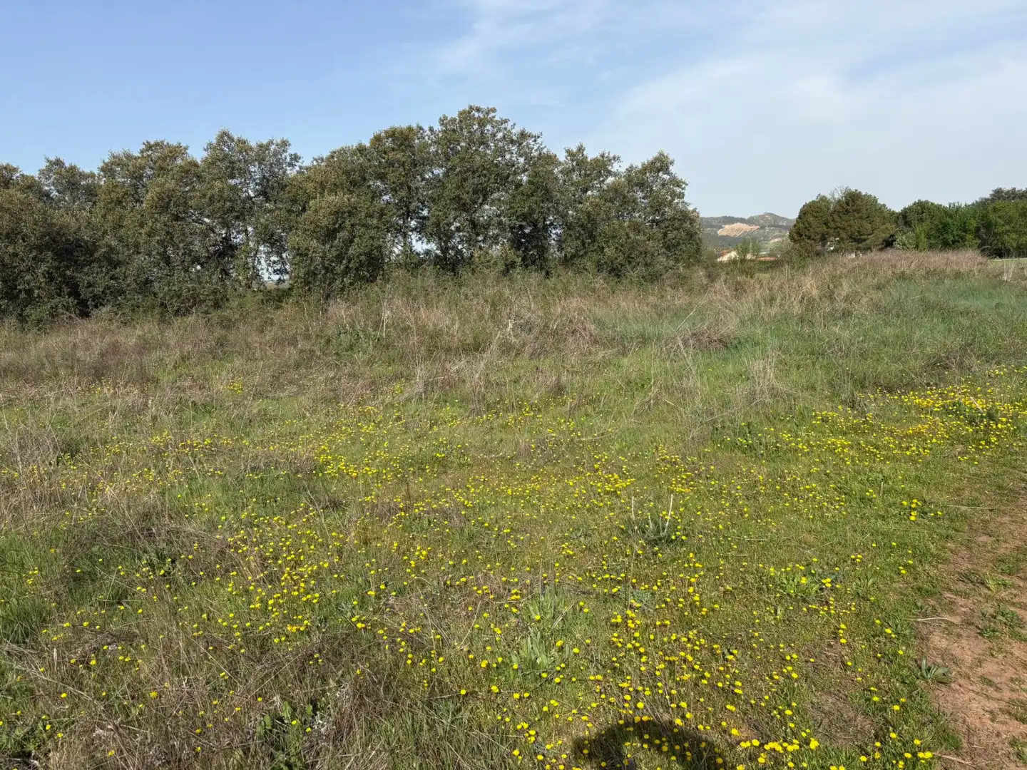 Terrenys i solars en venda a Alberite