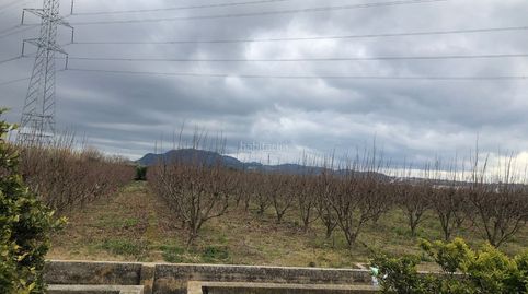 Campo agrícola de 11,634 metros cuadrados, immagine 2