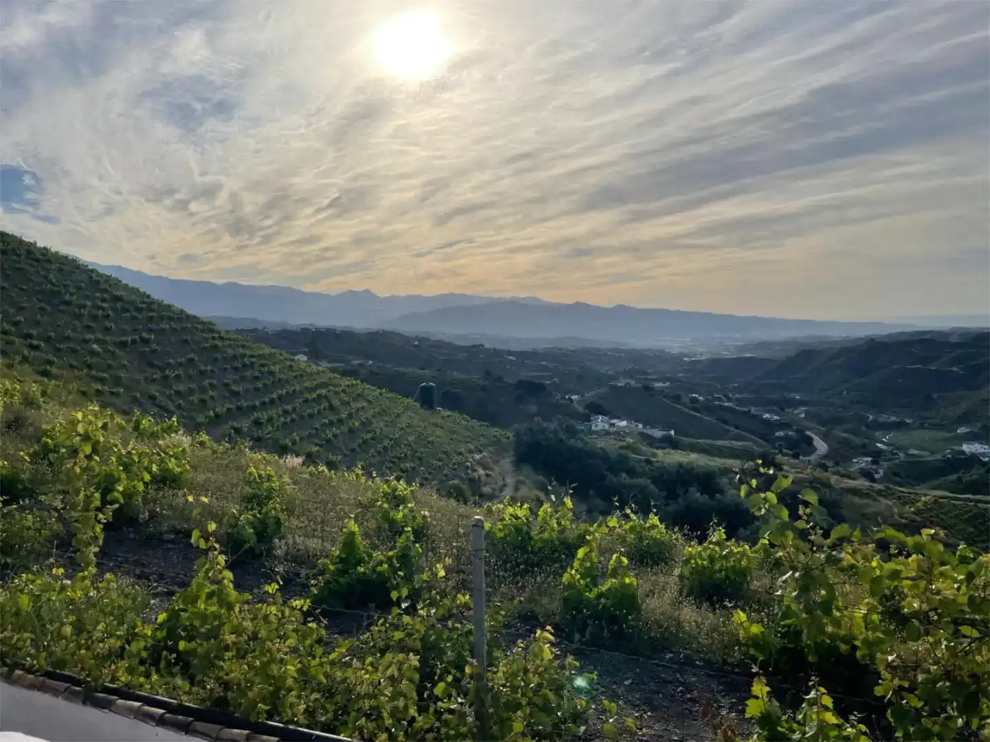 Vista exterior de Finca rústica en venda en El Borge amb Piscina i Balcó