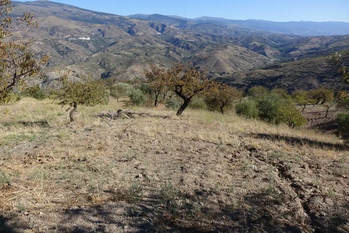 Chalet en venta en Torvizcón, imagen 16