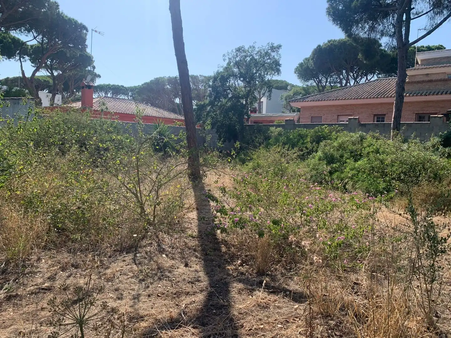 Residential zum Verkauf in Chiclana de la Frontera