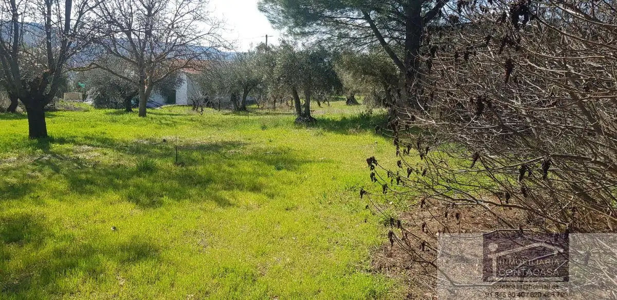 Finca rústica en venda en Loranca de Tajuña