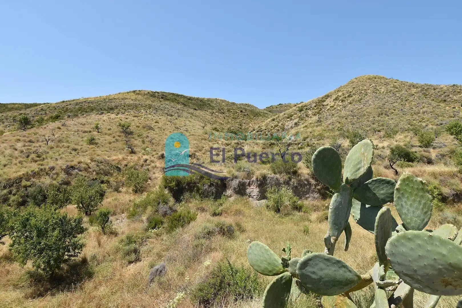 Country homes for sale in Lorca