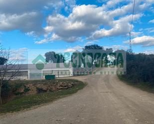 Exterior view of Industrial buildings for sale in Setenil de las Bodegas