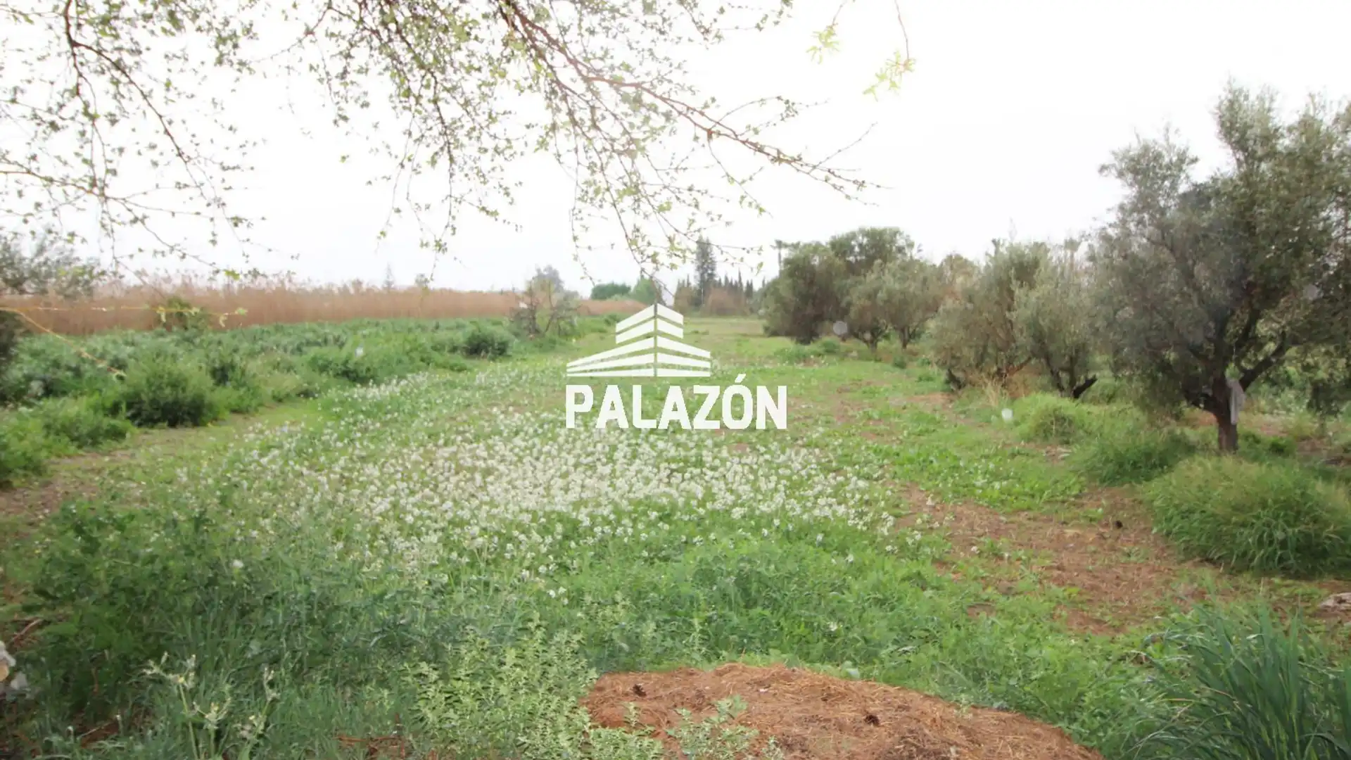 Finca rústica en venta en Dolores