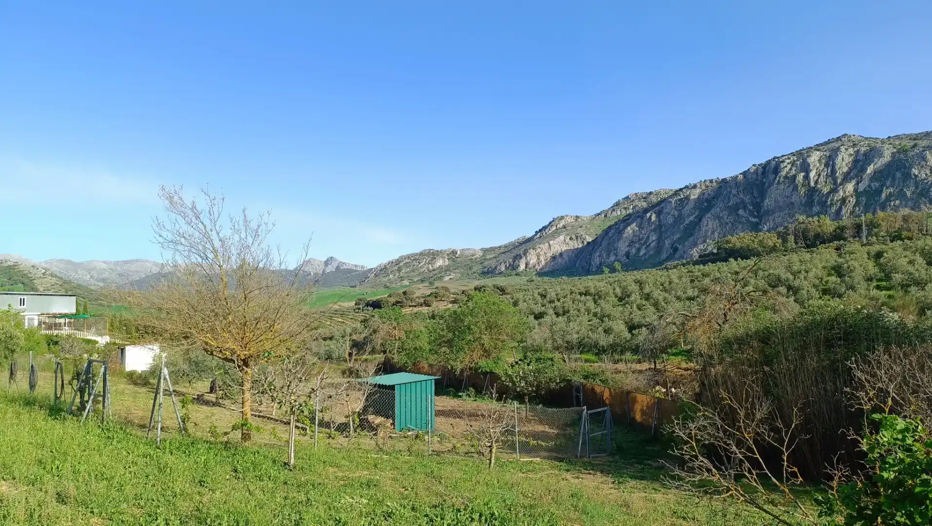 Casa o chalet en venta en Cueva de Menga