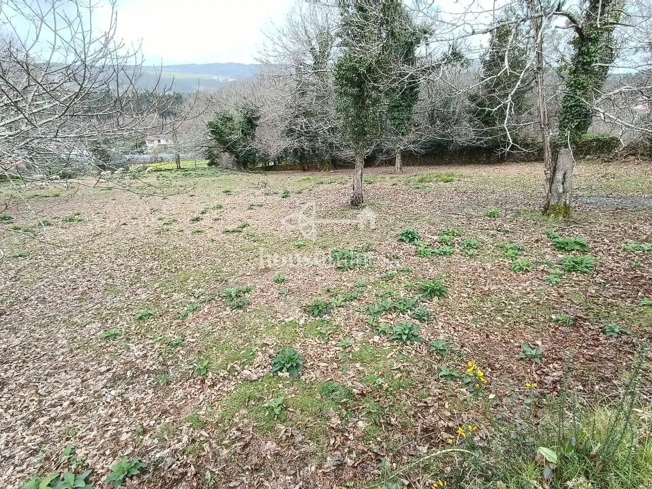 Terreni e lotti in vendita a Parroquias de Santiago, imagen 8