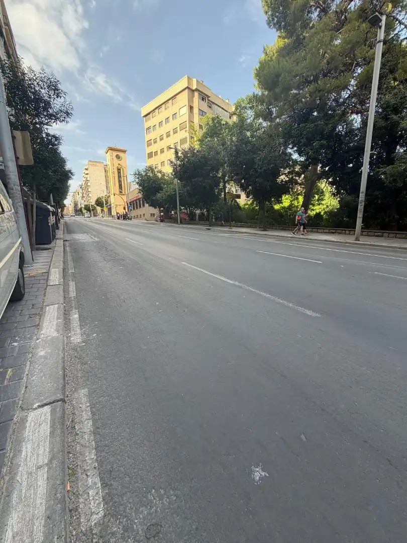 Pis amb terrassa en venda a Avenida de Madrid, imagen 31