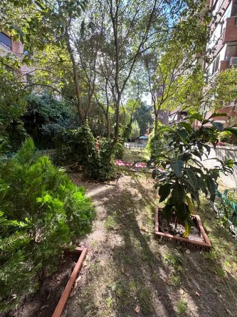 Jardí de Pis en venda en Madrid amb Aire condicionat, Calefacció i Parquet