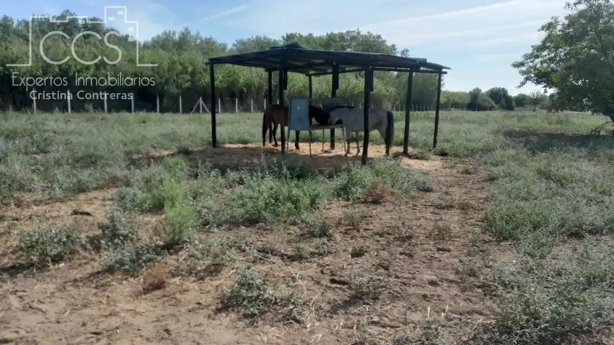 Casa rústica amb jardí en venda a Almonte ciudad, imagen 16
