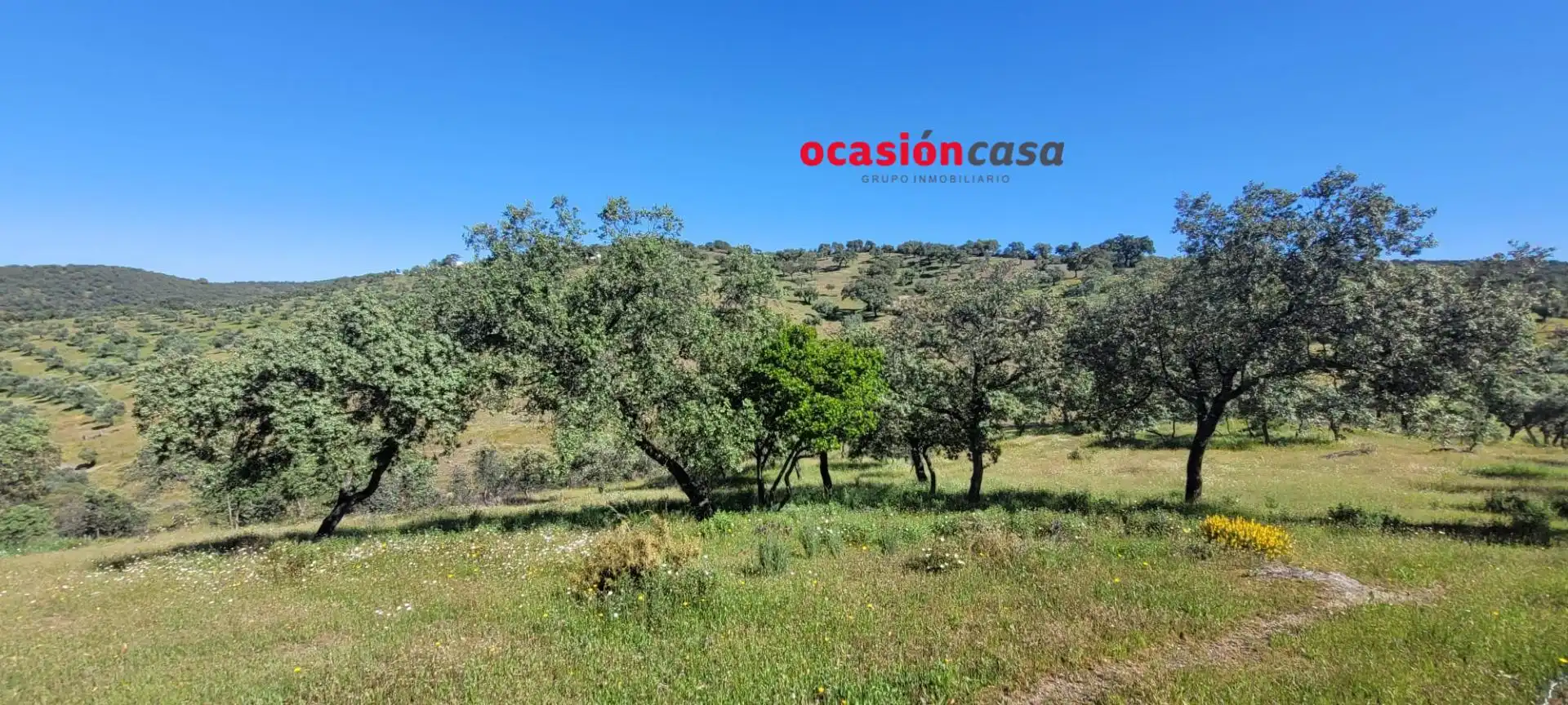 Casa rústica en venda a Pozoblanco, imagen 31