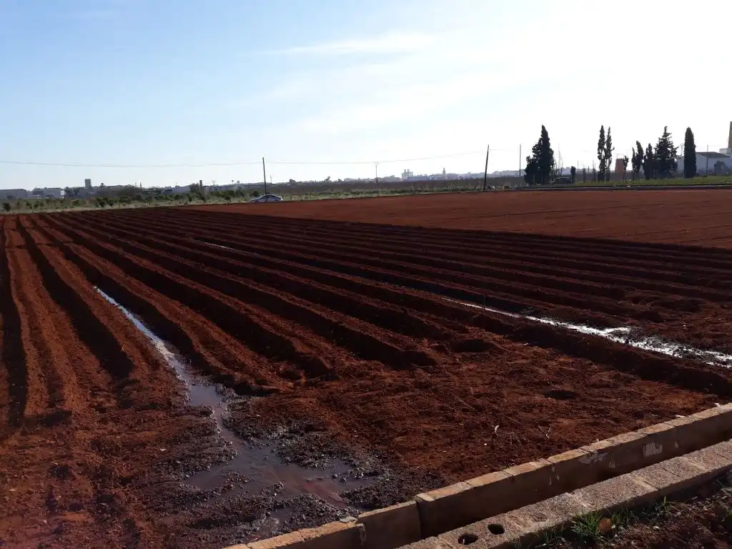 Garden of Land for sale in Catarroja