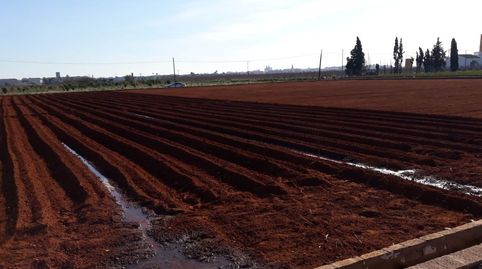 VENTA CAMPO REGADIO CATARROJA.MC34, imagen 2