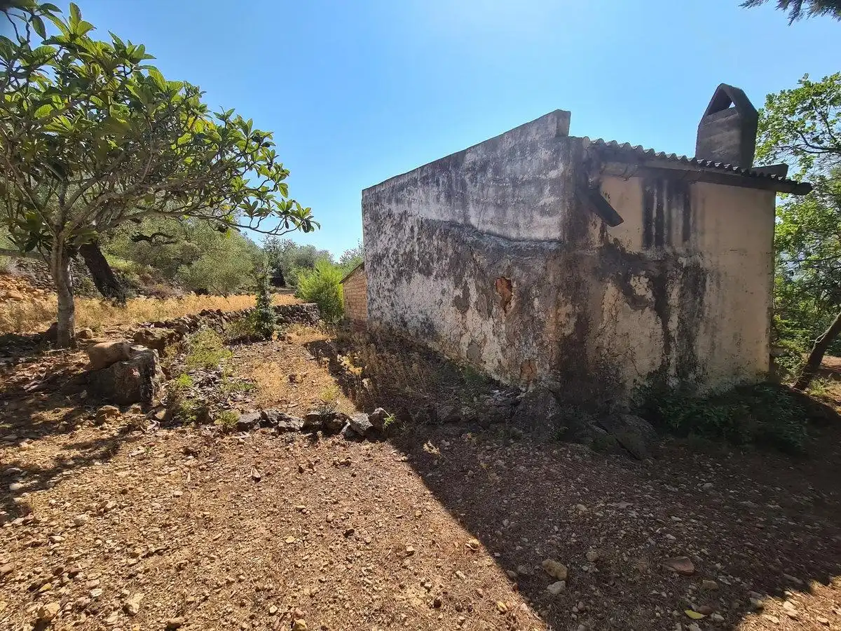 Terreno rustico in vendita a Freginals, imagen 12