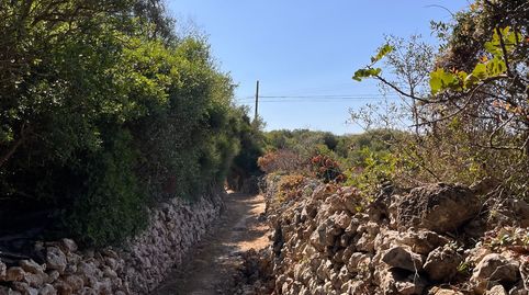 Foto 2 von Residential zum Verkauf in Son Vilar - Trepucó, Es Castell