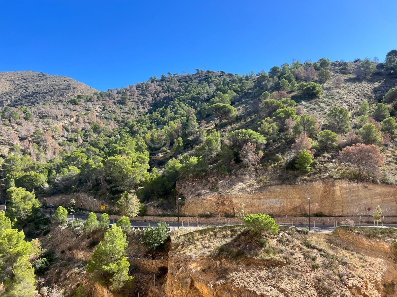 Vista exterior de Apartament en venda en Benidorm amb Jardí privat, Terrassa i Piscina comunitària