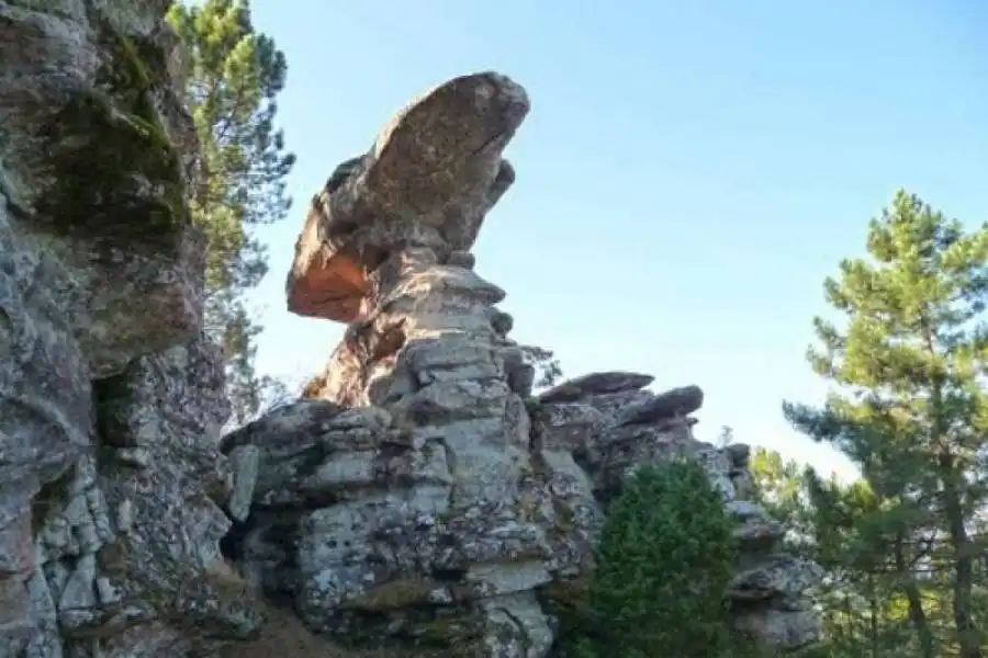 Garden of Land for sale in Cuenca