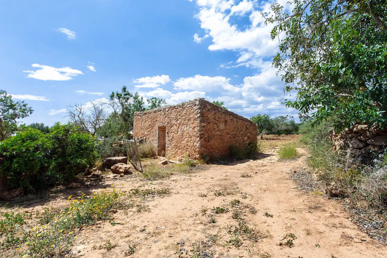 Terrenys i solars en venda a Felanitx Poble, imagen 12