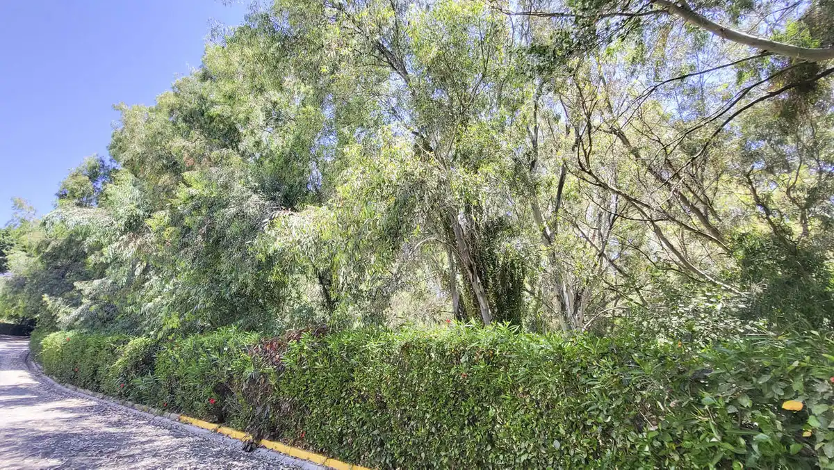 Vista exterior de Apartamento en venta en Calahonda 