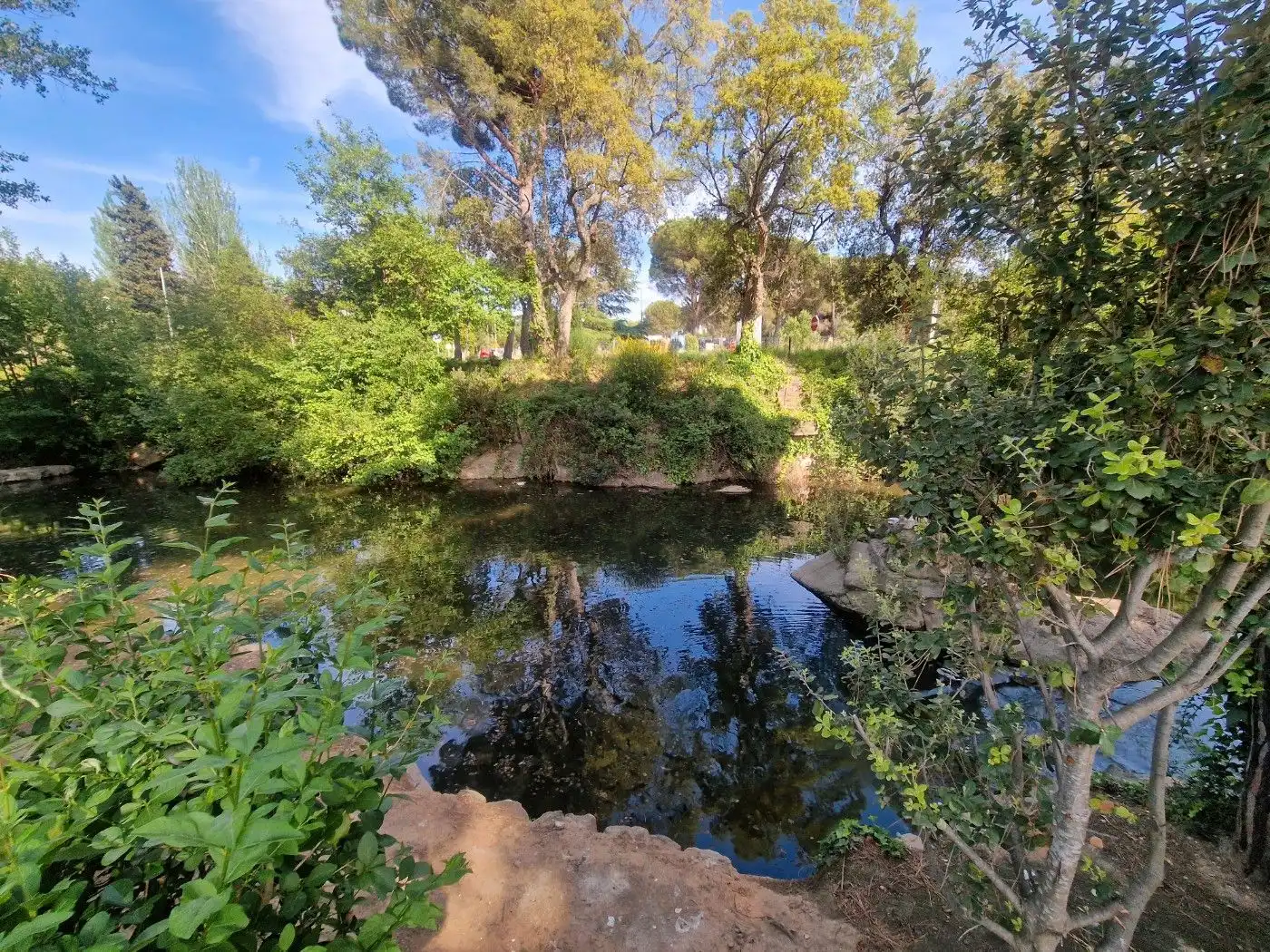 Jardín de Local en venta en Calonge i Sant Antoni con Aire acondicionado, Calefacción y Amueblado