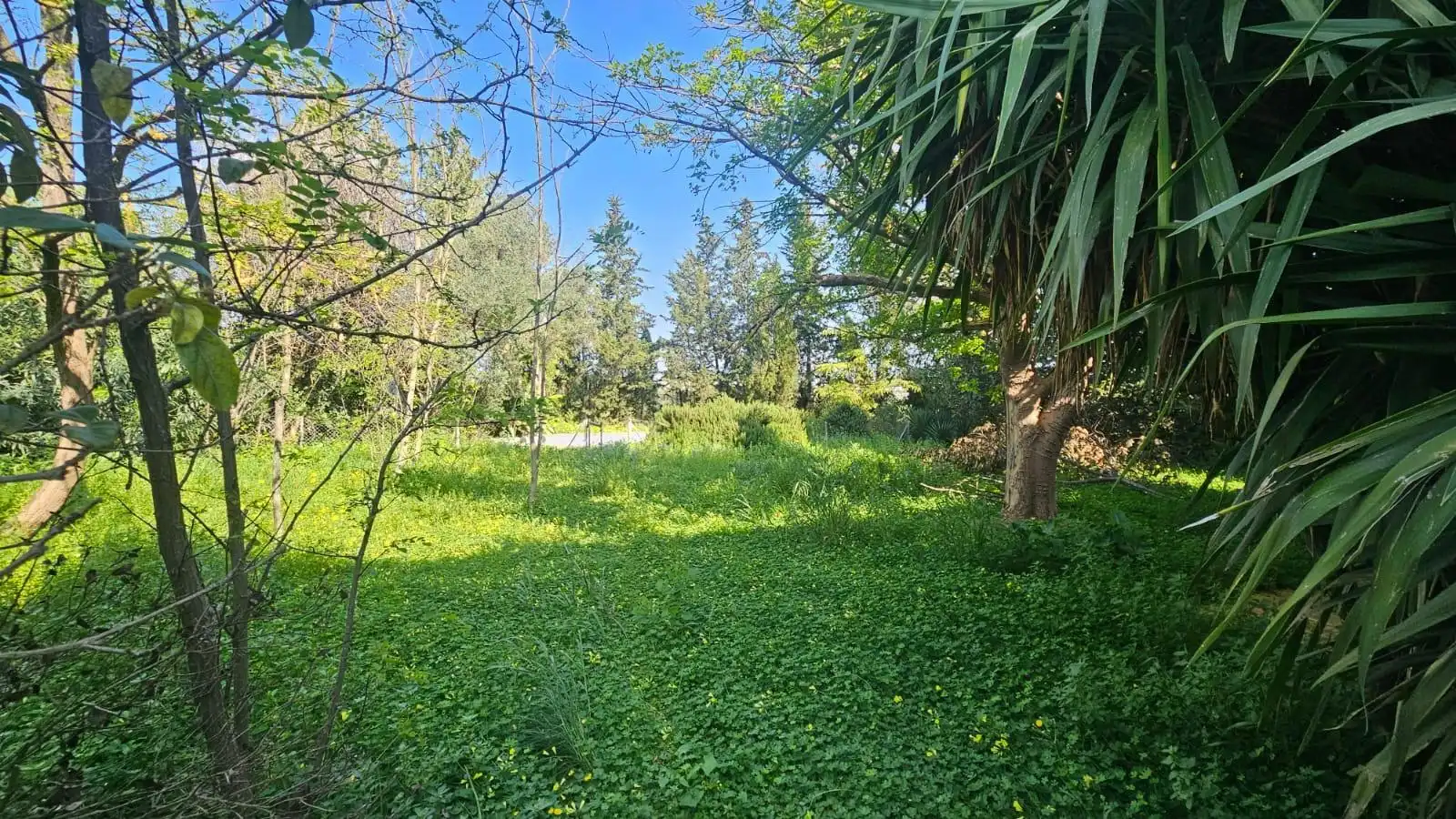 Villa à vendre à Bollullos de la Mitación, imagen 36