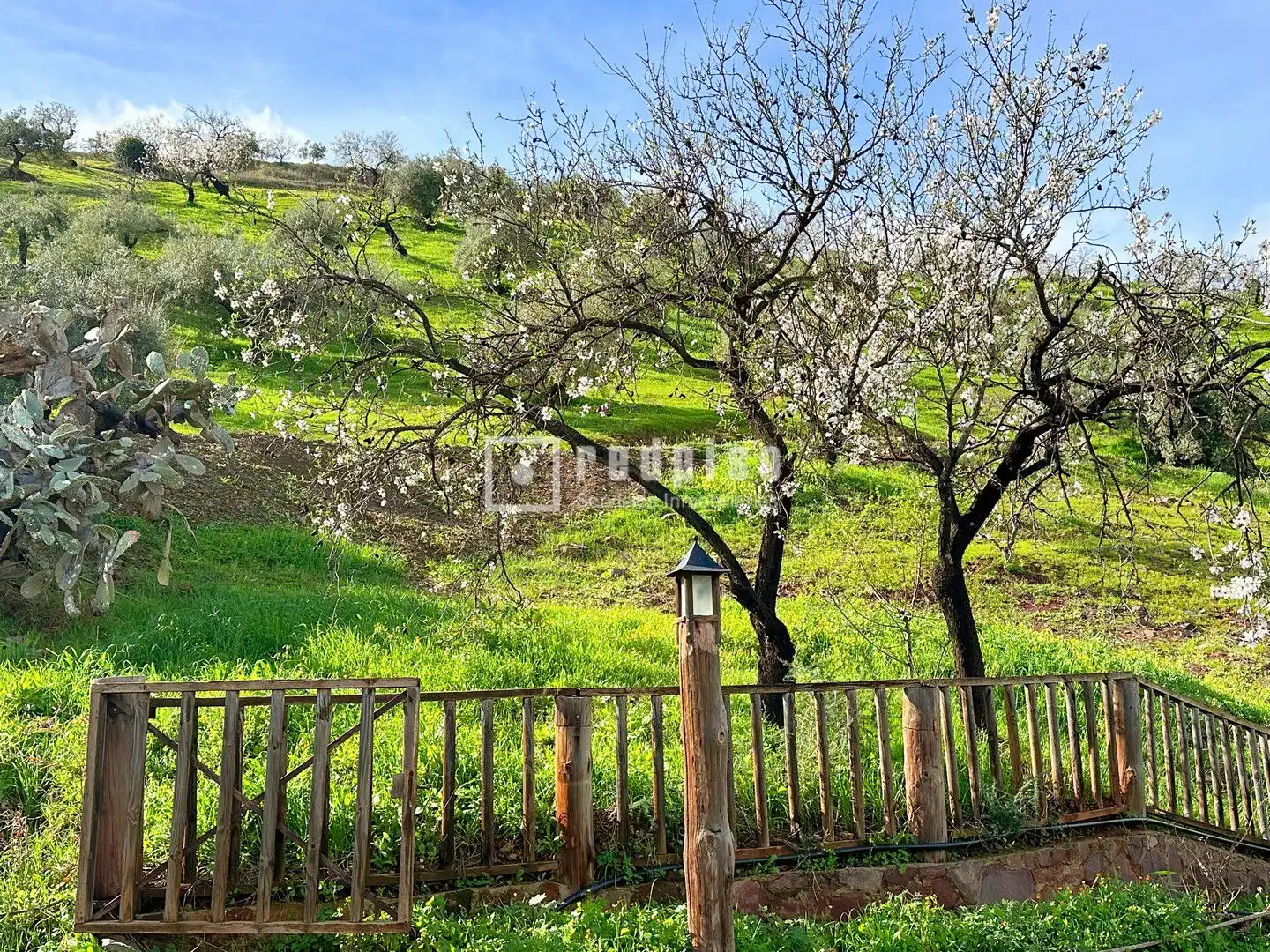 Haus mit Garten zum Verkauf in Diseminados, imagen 44