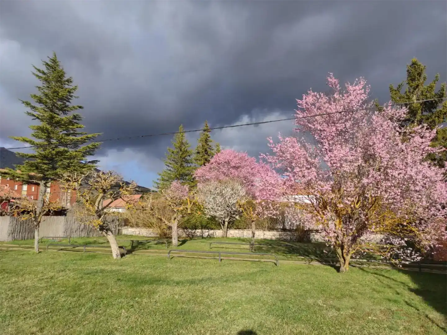 Jardí de Pis en venda en Castrejón de la Peña amb Jardí privat, Moblat i Balcó