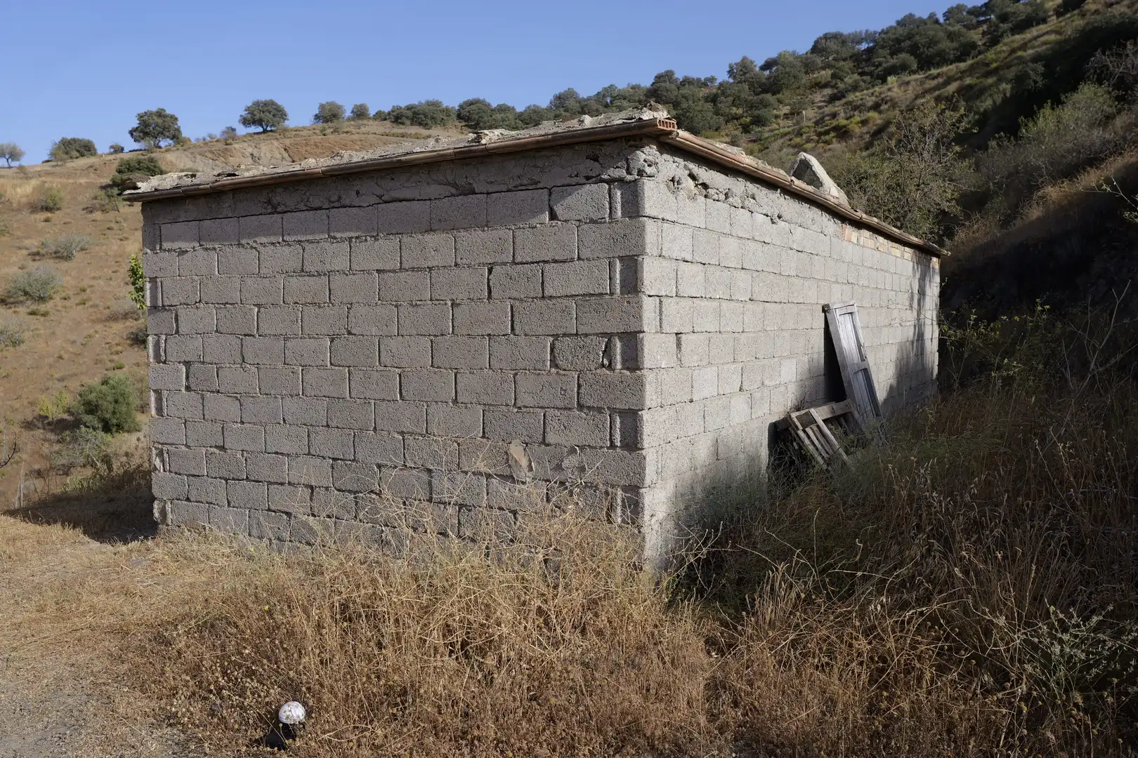 Vista exterior de Finca rústica en venta en Cádiar