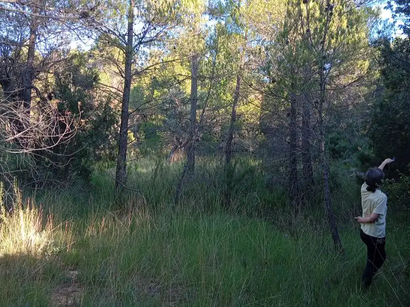 Terreno en venta en Torre de Arcas