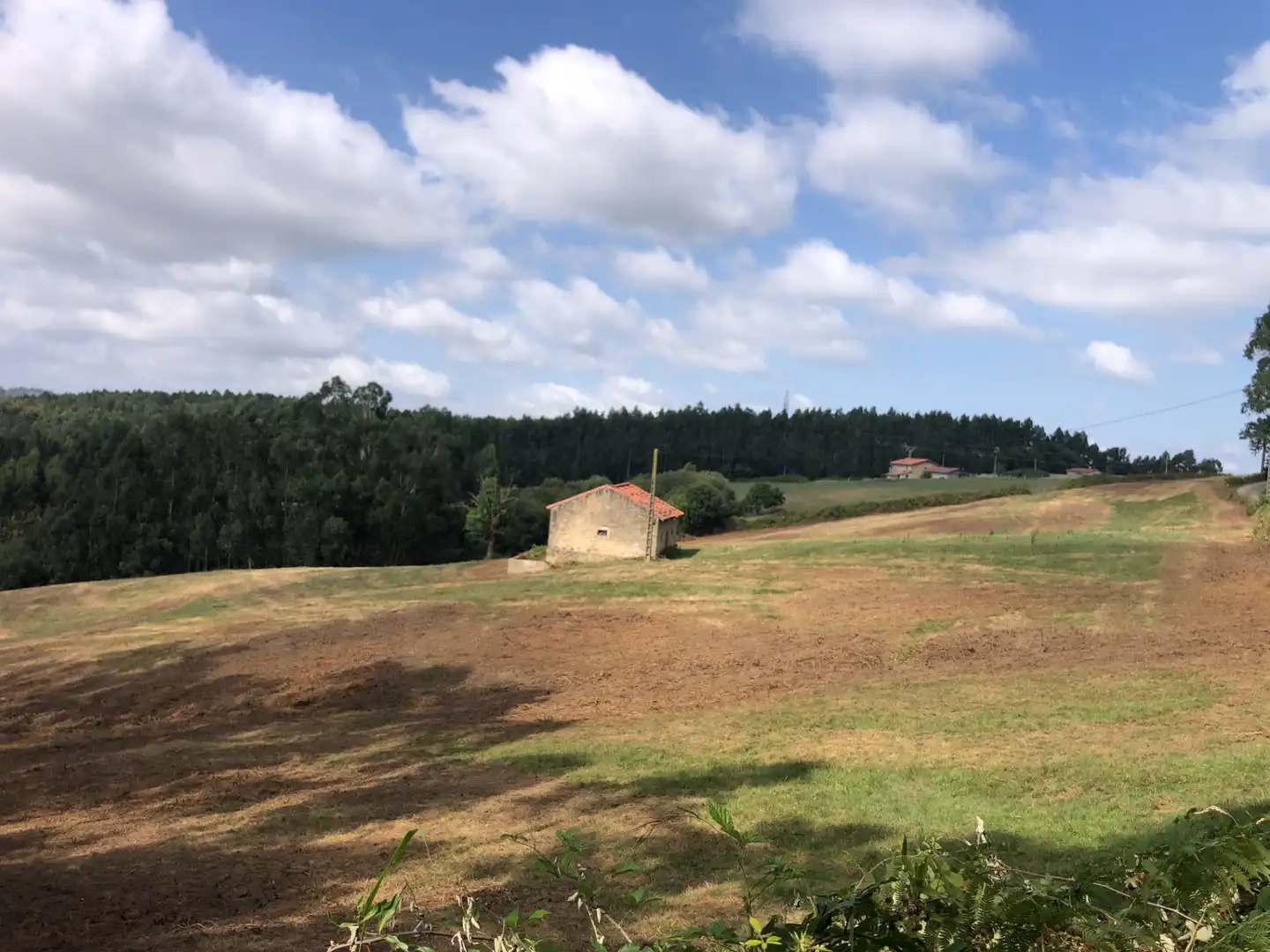 Finca rústica en venda en Villaescusa (Cantabria) amb Jardí privat