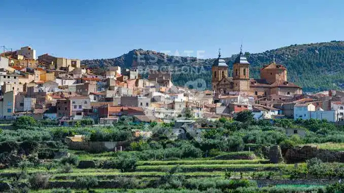 Vista exterior de Edifici en venda en Elche de la Sierra