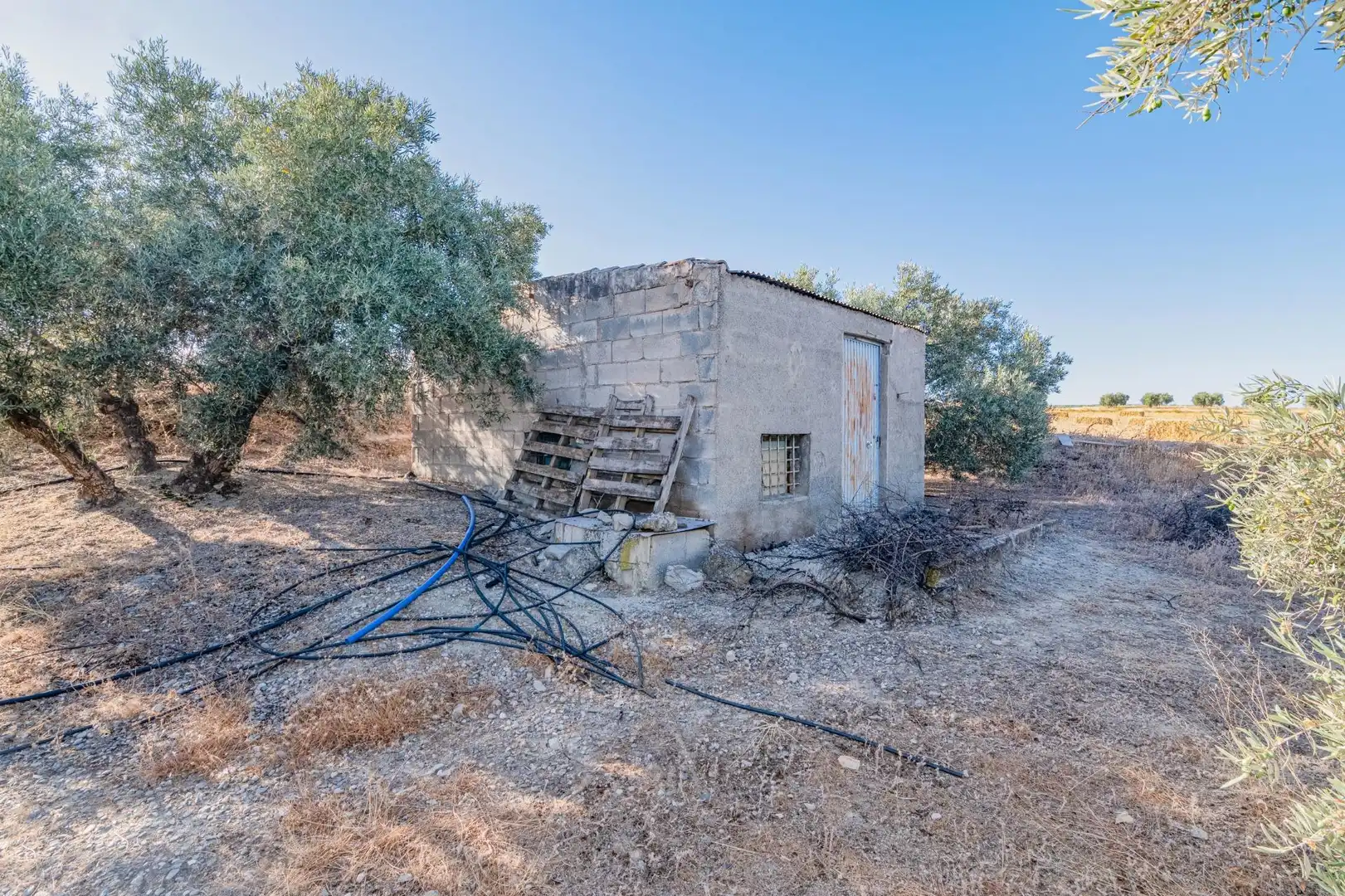 Apartments for sale in Santa Fe