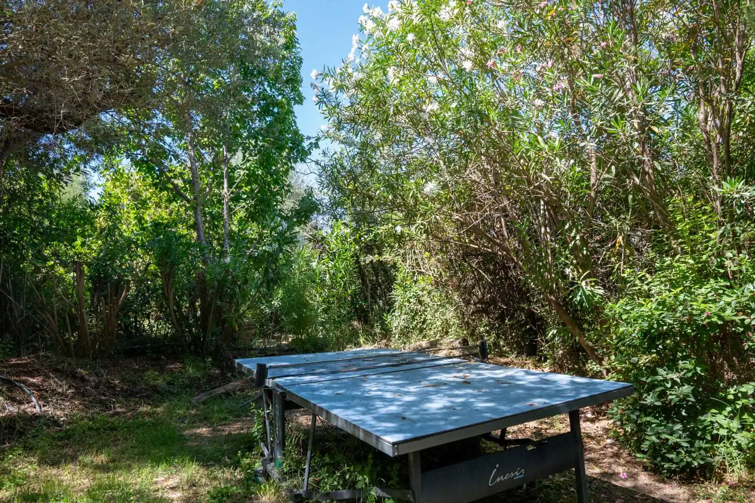 Jardí de Finca rústica en venda en Lecrín amb Piscina