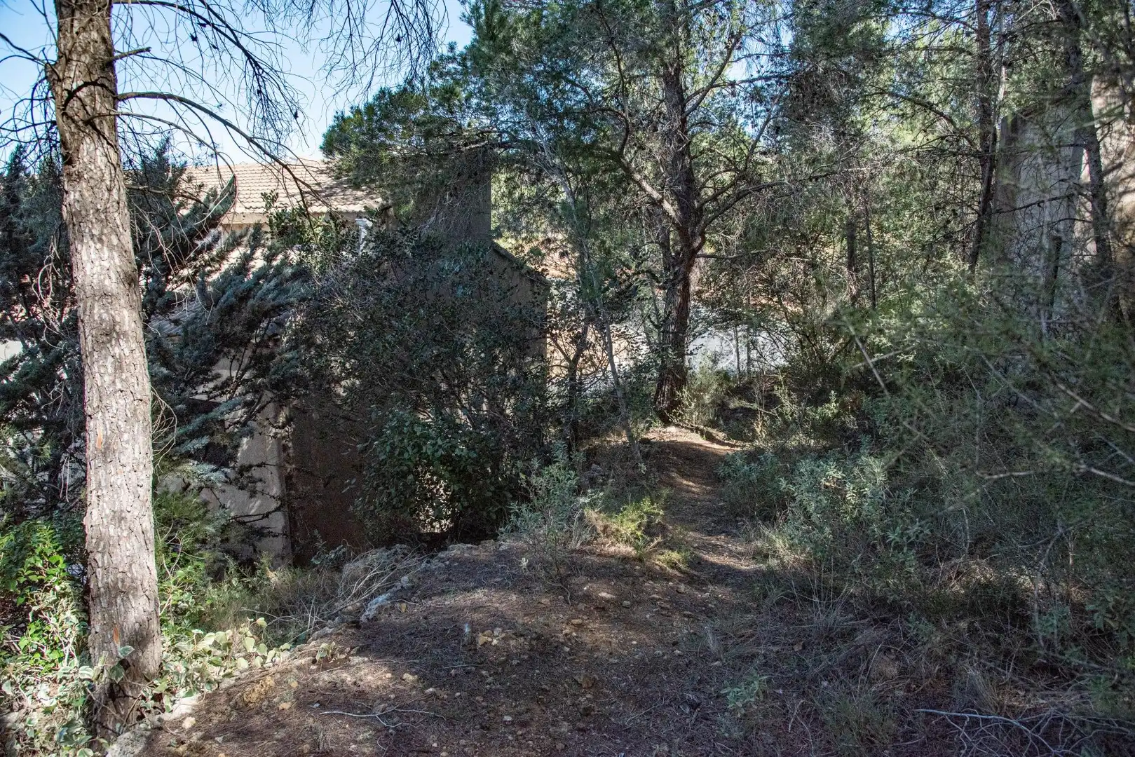 Casa con piscina in vendita a Navarrés, imagen 26